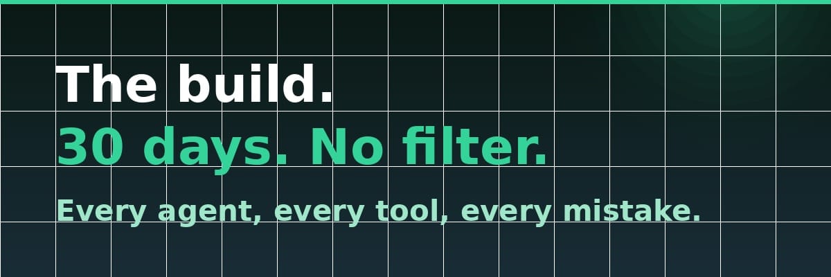 The build — daily posts